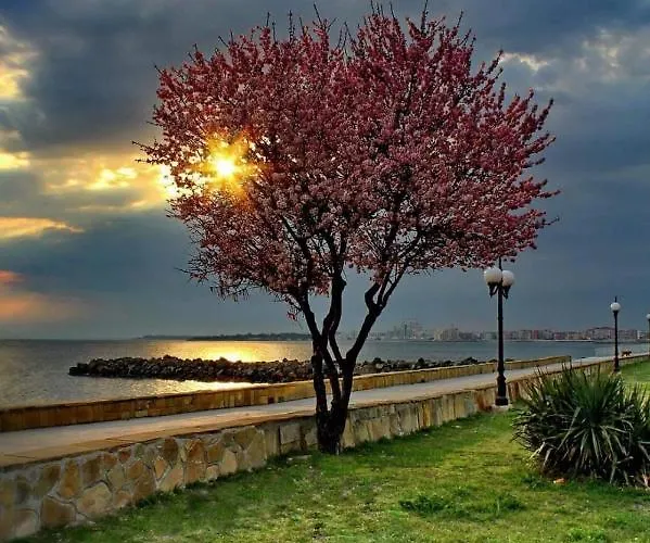 за гости West 3*