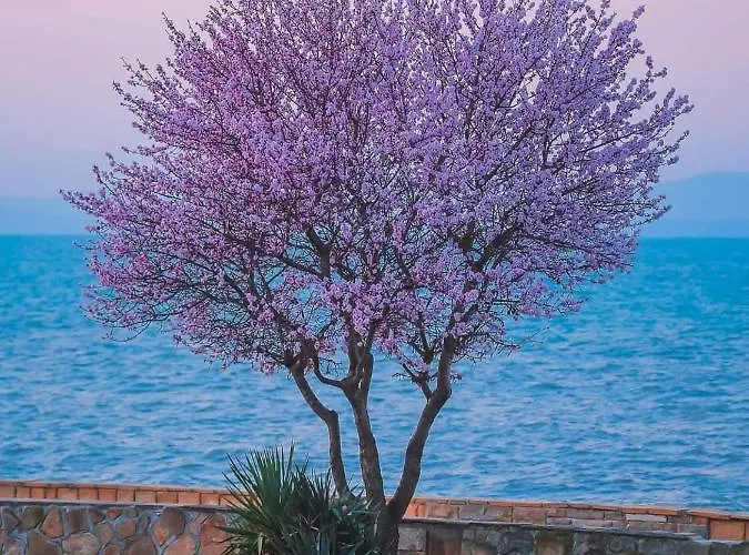 за гости West 3*